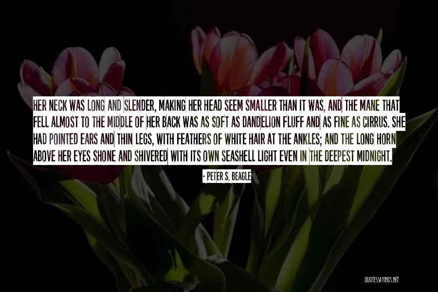 Seashell Quotes By Peter S. Beagle