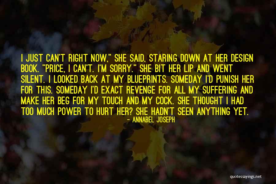 Seashores Of Mexico Quotes By Annabel Joseph Seashores Of Mexico Quotes By Annabel Joseph