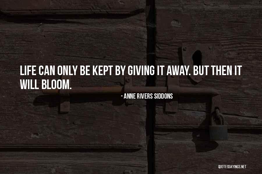 Seashores Of Mexico Quotes By Anne Rivers Siddons Seashores Of Mexico Quotes By Anne Rivers Siddons