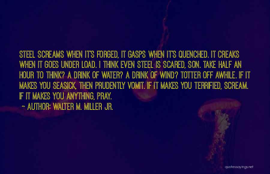 Seasick Quotes By Walter M. Miller Jr.
