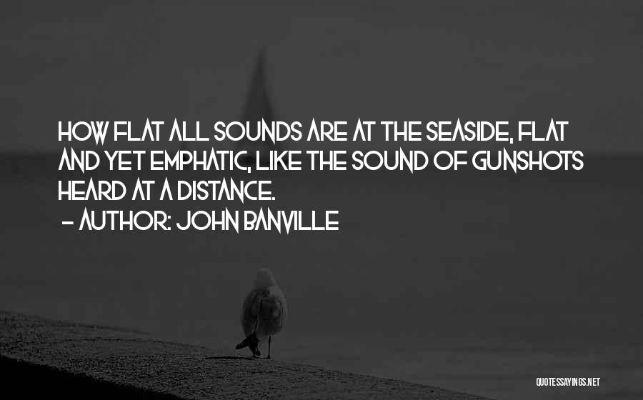 Seaside Quotes By John Banville