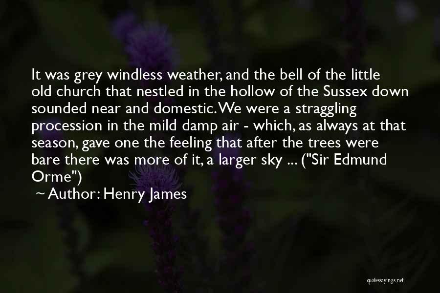 Season 9 Grey's Quotes By Henry James