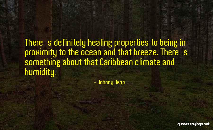 Seasonality Of Coronavirus Quotes By Johnny Depp Seasonality Of Coronavirus Quotes By Johnny Depp