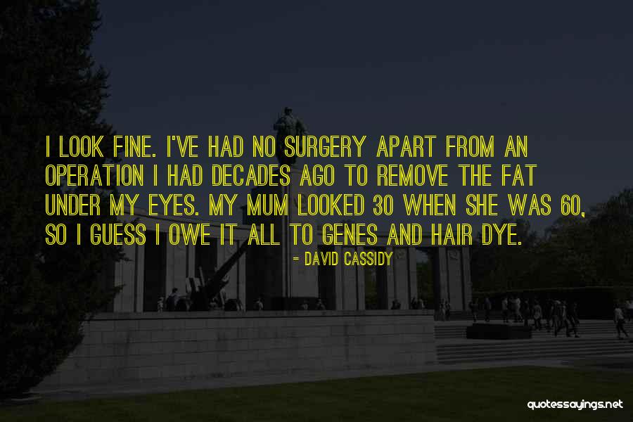 Seasonless Silk Quotes By David Cassidy Seasonless Silk Quotes By David Cassidy