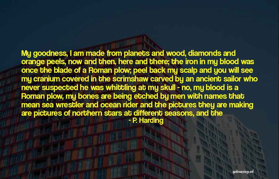 Seasons Of Love Quotes By P. Harding Seasons Of Love Quotes By P. Harding