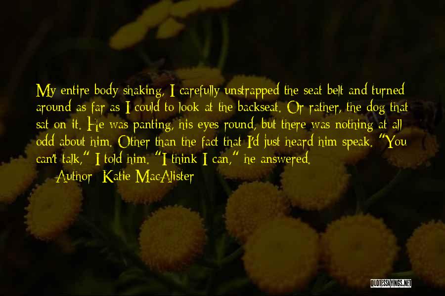 Seat Belt Quotes By Katie MacAlister