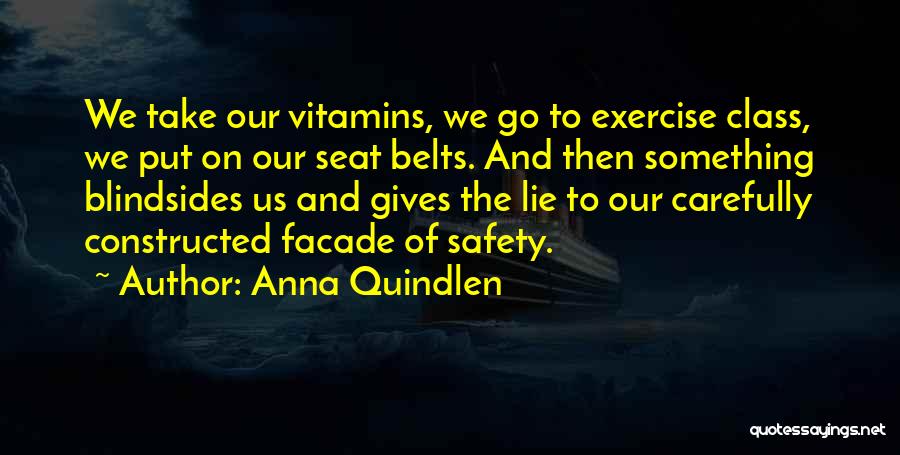 Seat Belts Quotes By Anna Quindlen