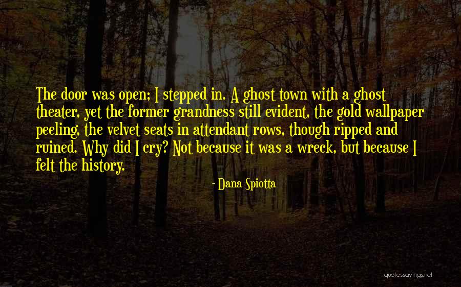 Seats Theater Quotes By Dana Spiotta Seats Theater Quotes By Dana Spiotta