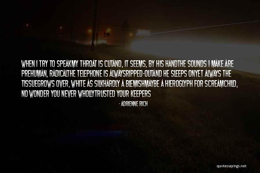 Seavey Circle Quotes By Adrienne Rich Seavey Circle Quotes By Adrienne Rich