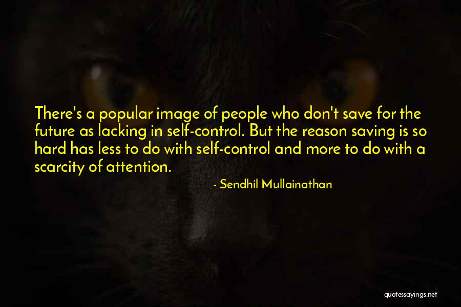 Seawater Pro Quotes By Sendhil Mullainathan Seawater Pro Quotes By Sendhil Mullainathan