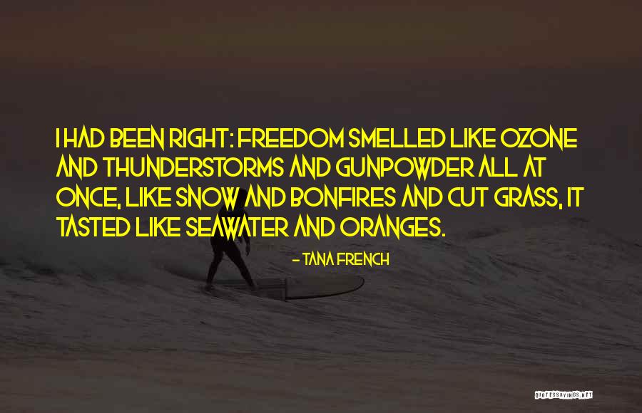 Seawater Quotes By Tana French Seawater Quotes By Tana French