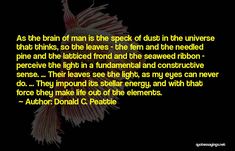 Seaweed Brain Quotes By Donald C. Peattie