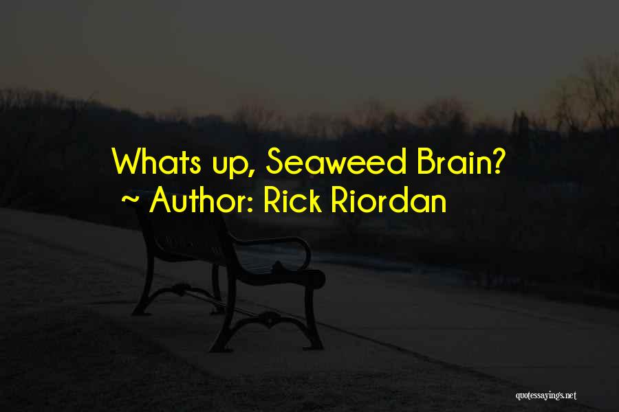 Seaweed Brain Quotes By Rick Riordan