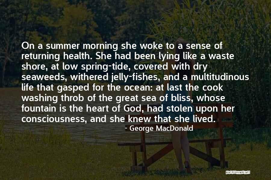 Seaweeds Quotes By George MacDonald Seaweeds Quotes By George MacDonald