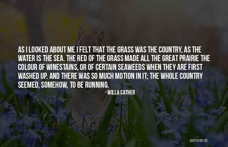 Seaweeds Quotes By Willa Cather Seaweeds Quotes By Willa Cather