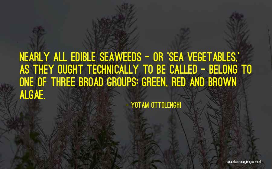 Seaweeds Quotes By Yotam Ottolenghi Seaweeds Quotes By Yotam Ottolenghi