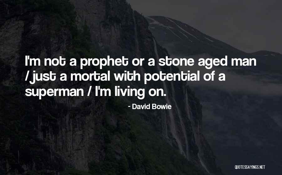 Sebald Rings Quotes By David Bowie Sebald Rings Quotes By David Bowie