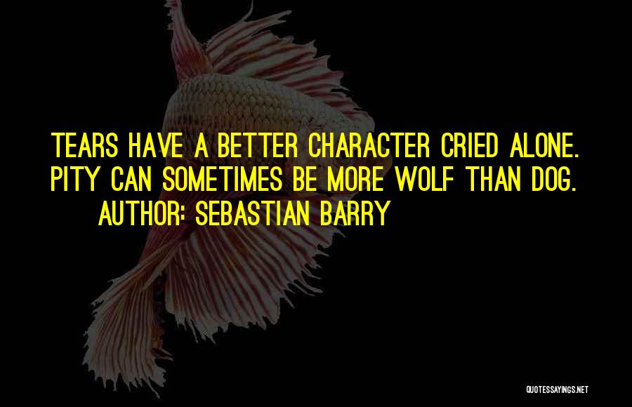 Sebastian Barry Quotes 150036