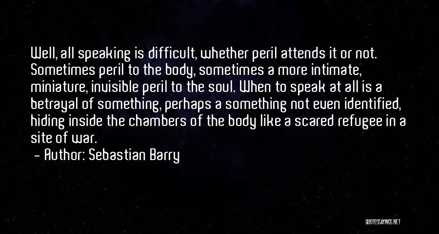 Sebastian Barry Quotes 1524307