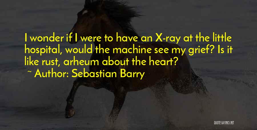 Sebastian Barry Quotes 1625276