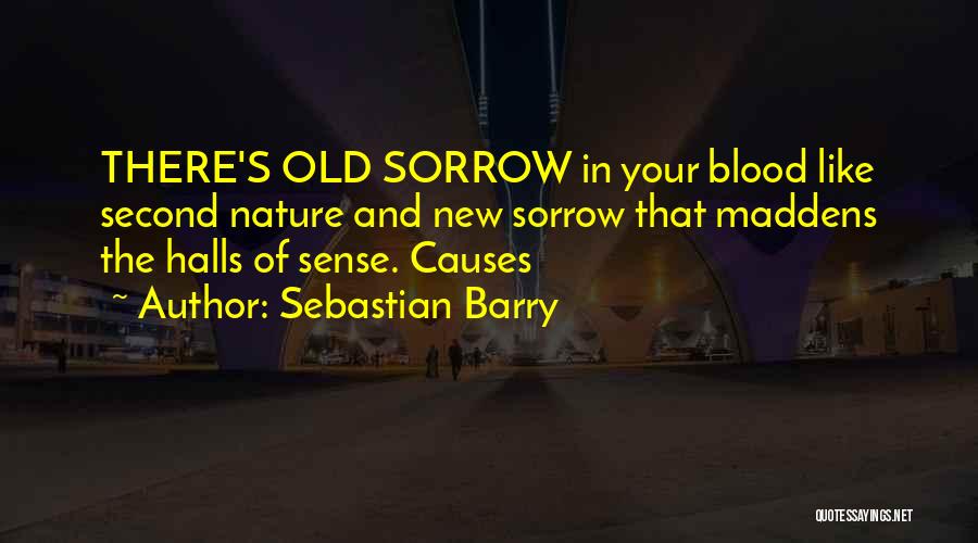 Sebastian Barry Quotes 1736356