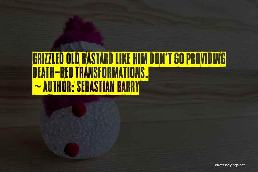 Sebastian Barry Quotes 1743936