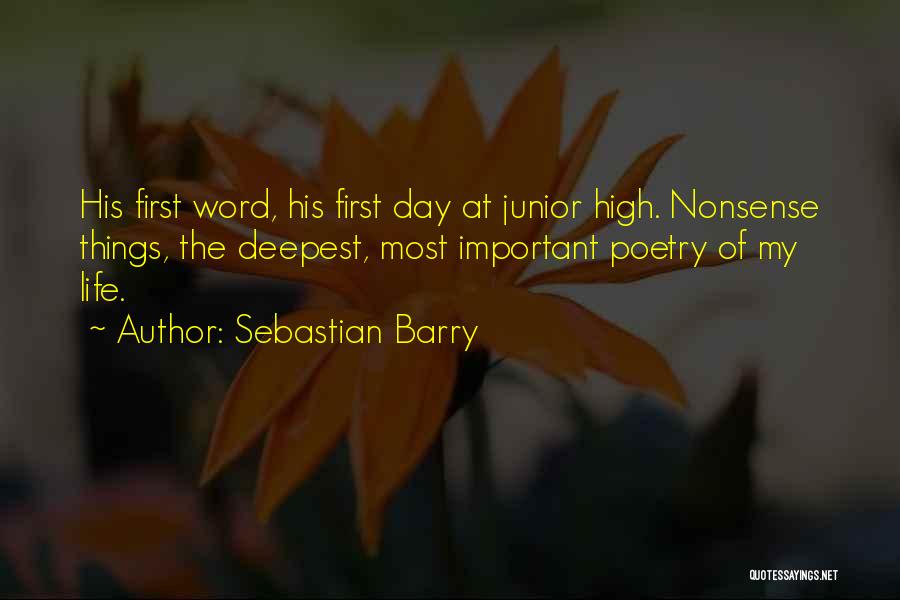 Sebastian Barry Quotes 1747222