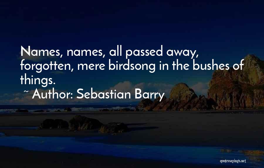 Sebastian Barry Quotes 1778235