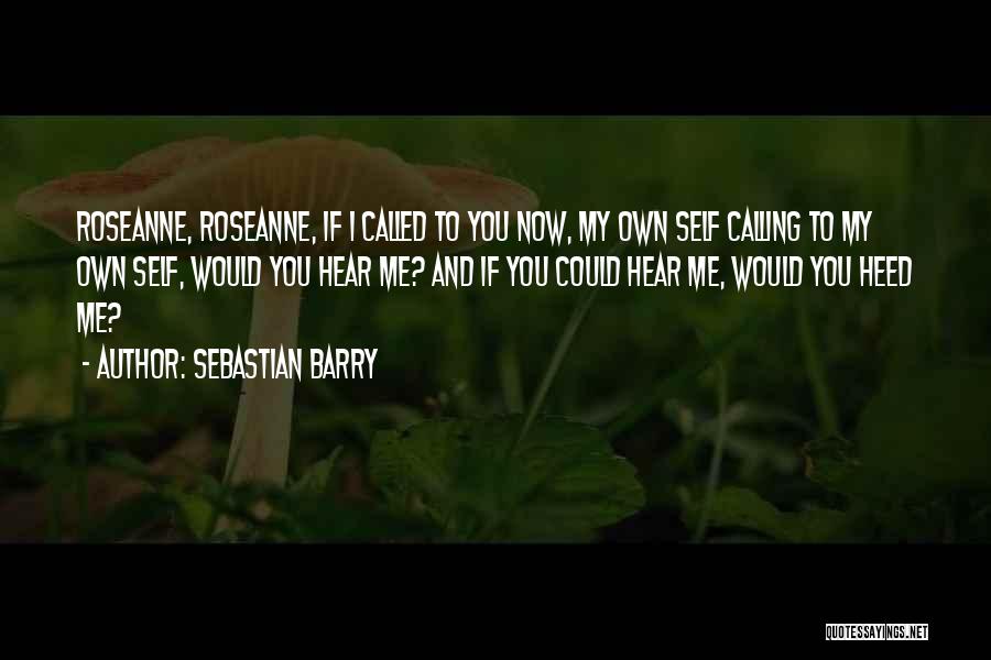 Sebastian Barry Quotes 1946013