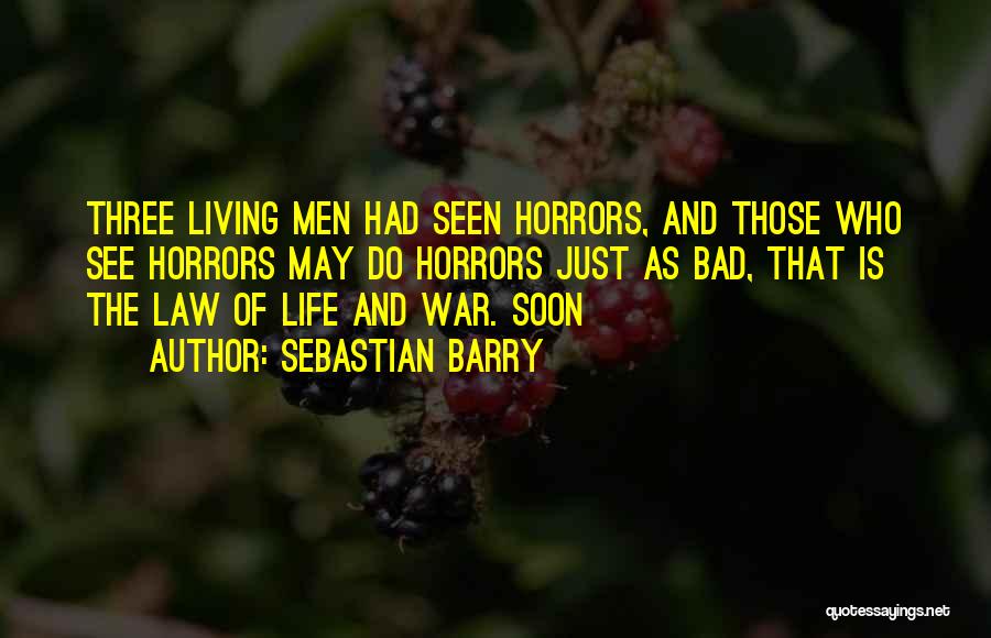 Sebastian Barry Quotes 315342