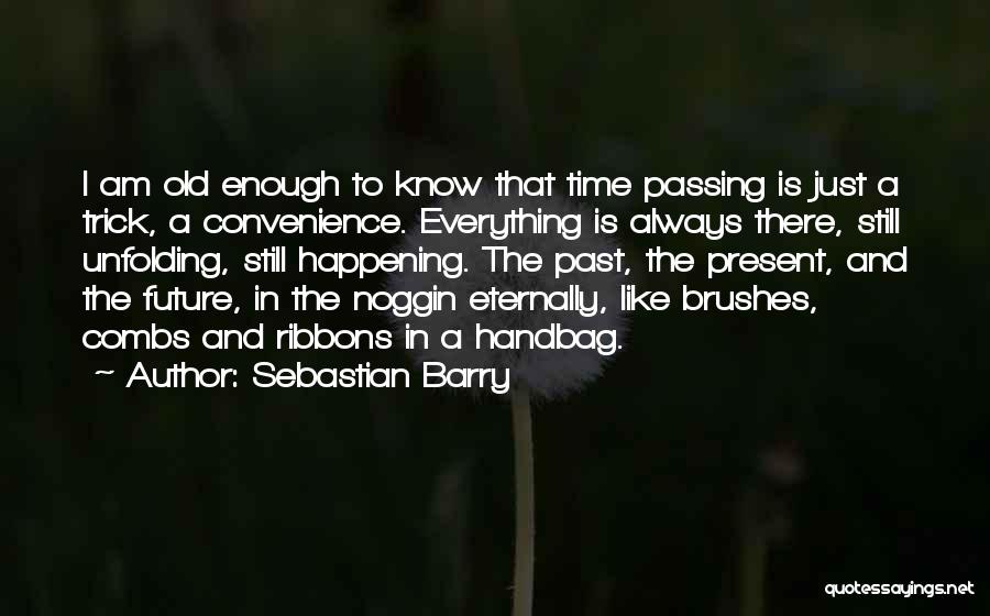 Sebastian Barry Quotes 438585