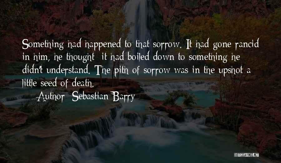 Sebastian Barry Quotes 467193