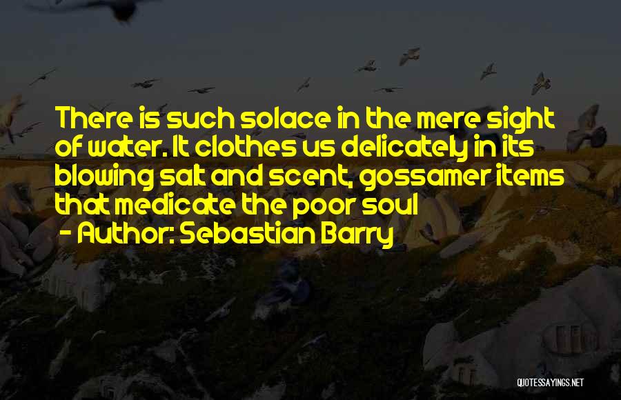 Sebastian Barry Quotes 517554