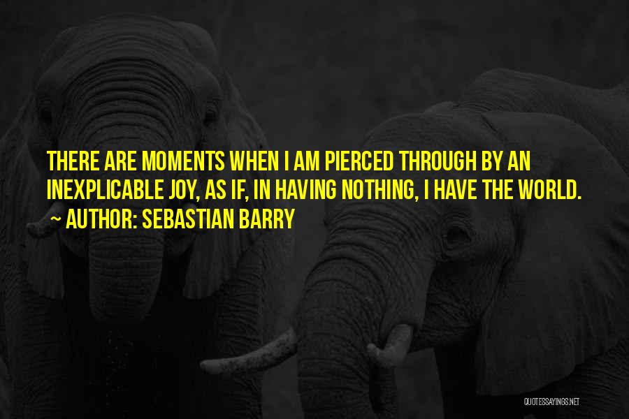 Sebastian Barry Quotes 546496