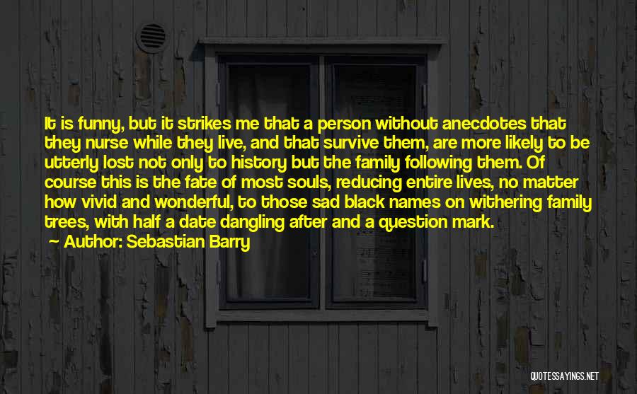 Sebastian Barry Quotes 608606