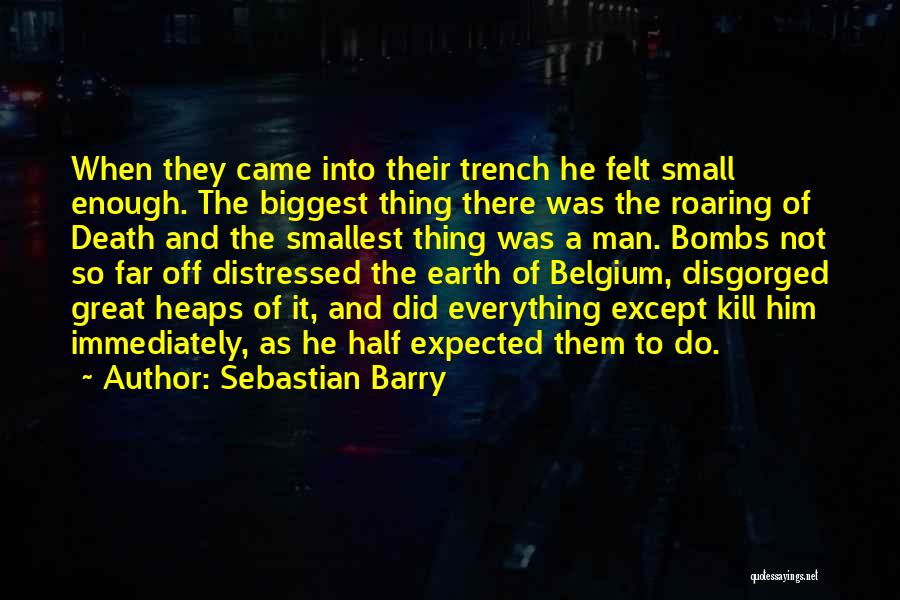 Sebastian Barry Quotes 703924