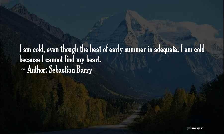 Sebastian Barry Quotes 793473