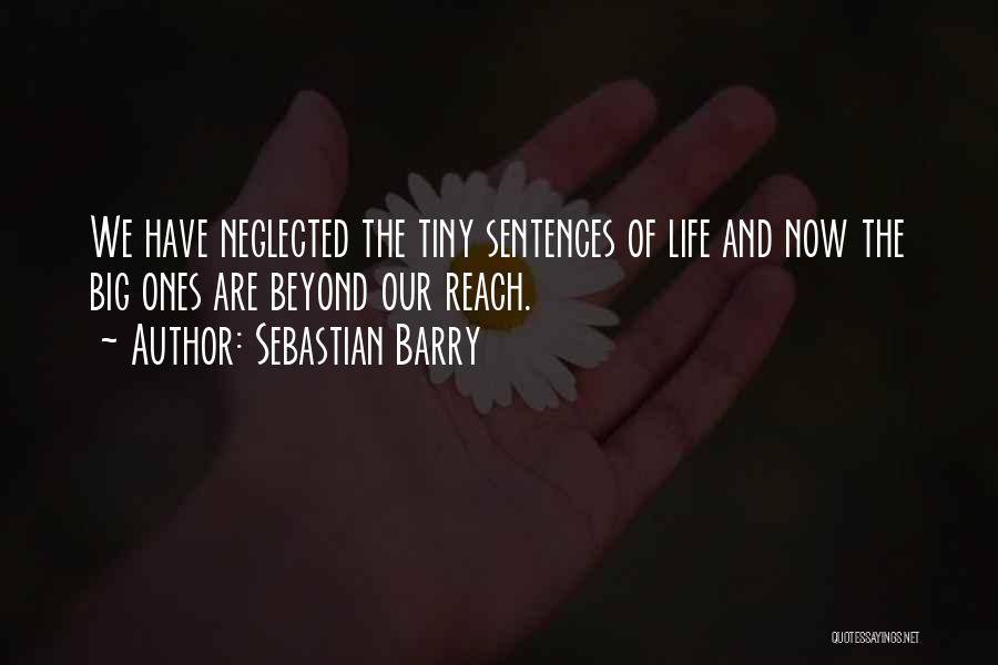 Sebastian Barry Quotes 938643