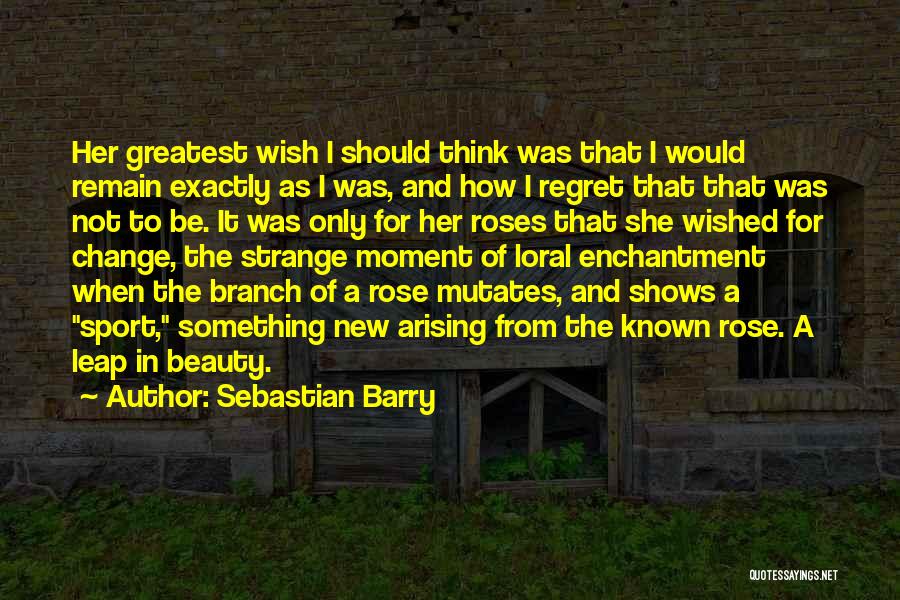 Sebastian Barry Quotes 944178