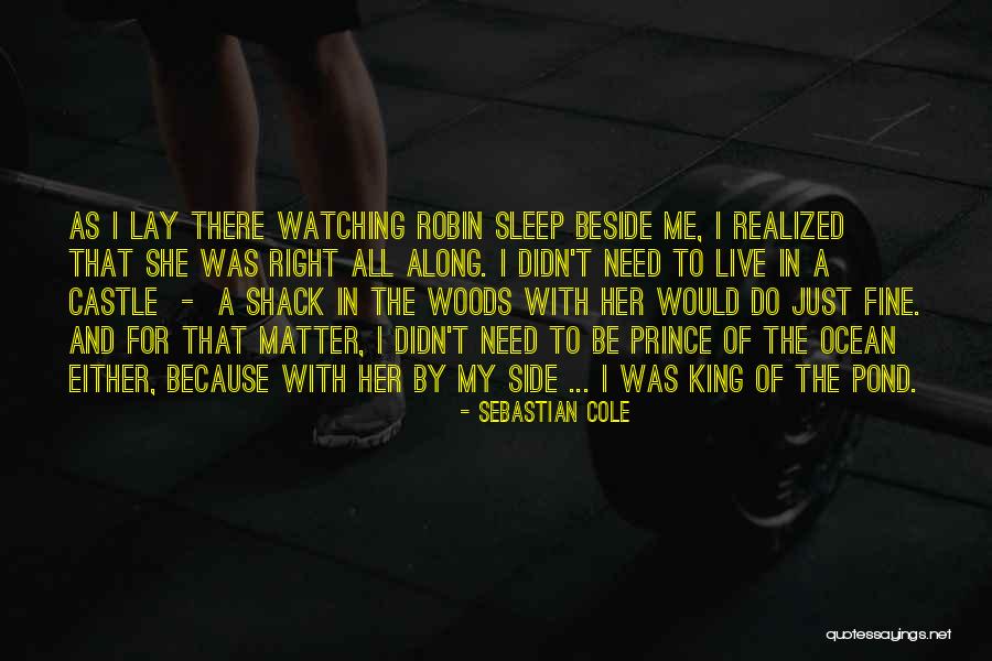 Sebastian Cole Quotes 2028784