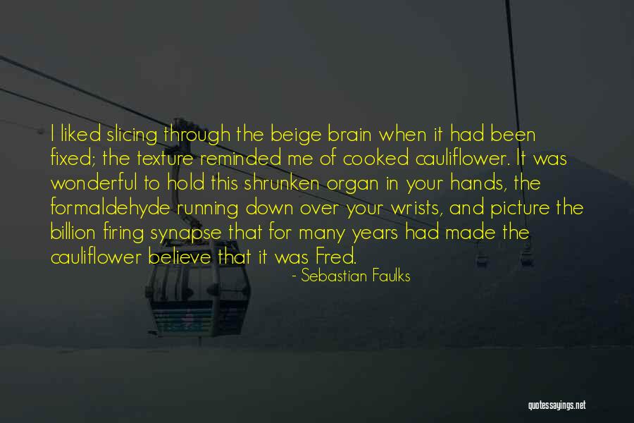 Sebastian Faulks Quotes 1224073