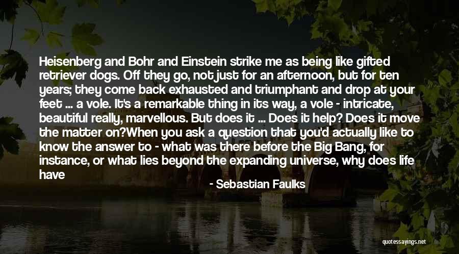 Sebastian Faulks Quotes 1992242