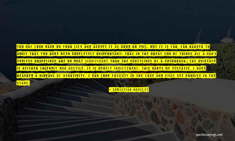Sebastian Horsley Quotes 835102 Sebastian Horsley Quotes 835102