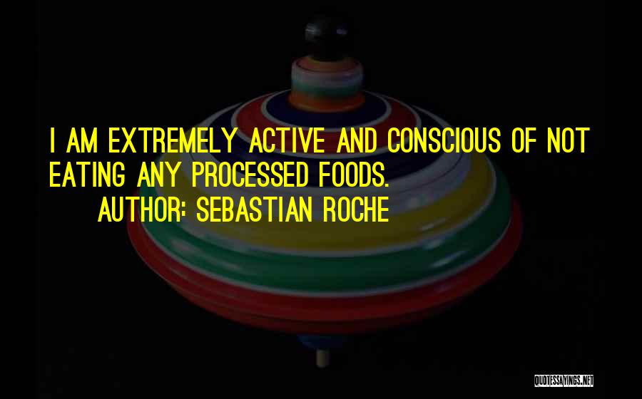 Sebastian Roche Quotes 1530432