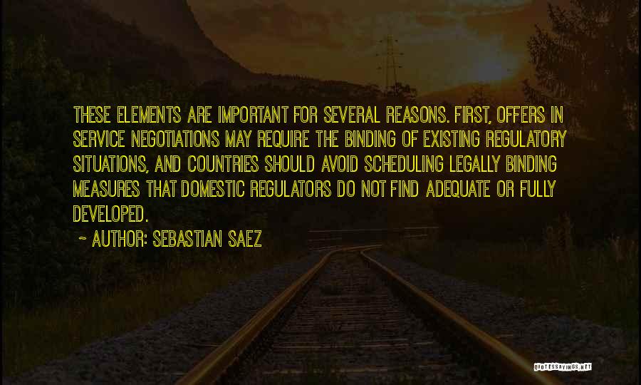 Sebastian Saez Quotes 2249896