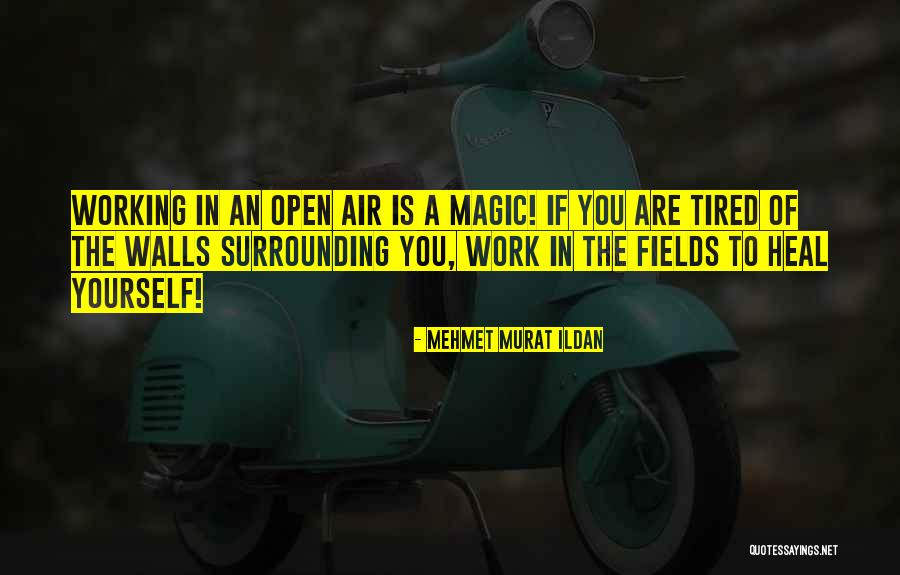 Sebrechts Fruit Quotes By Mehmet Murat Ildan Sebrechts Fruit Quotes By Mehmet Murat Ildan