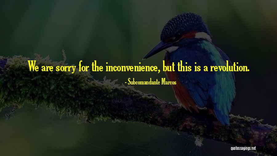 Sechaba Trust Quotes By Subcomandante Marcos Sechaba Trust Quotes By Subcomandante Marcos