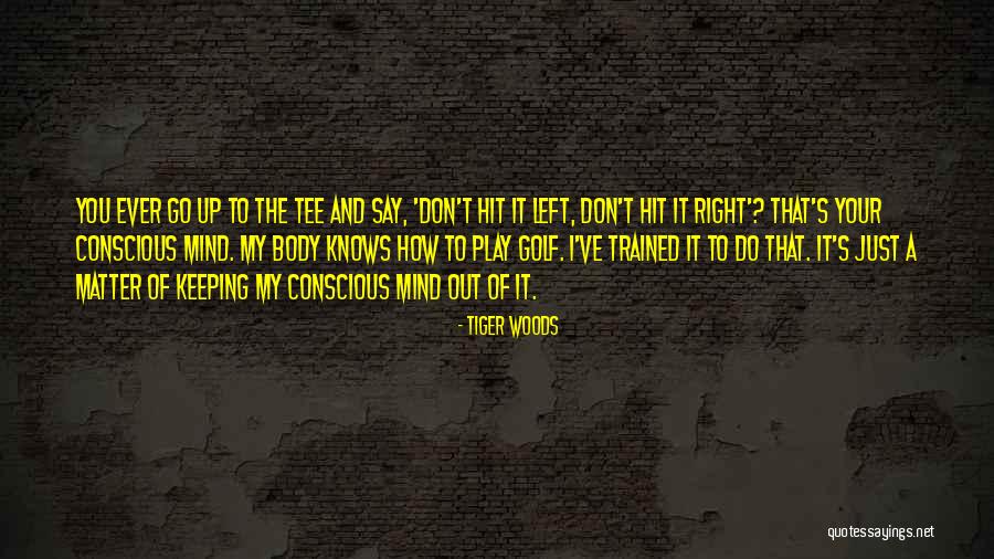 Seckin Ozdemir Quotes By Tiger Woods Seckin Ozdemir Quotes By Tiger Woods