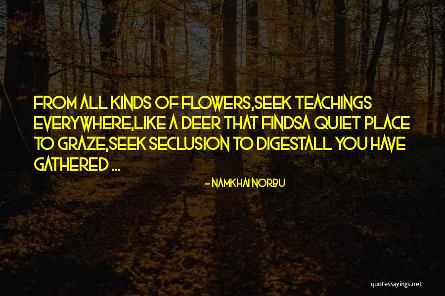 Seclusion Quotes By Namkhai Norbu Seclusion Quotes By Namkhai Norbu