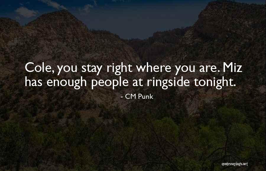 Seconal Quotes By CM Punk Seconal Quotes By CM Punk